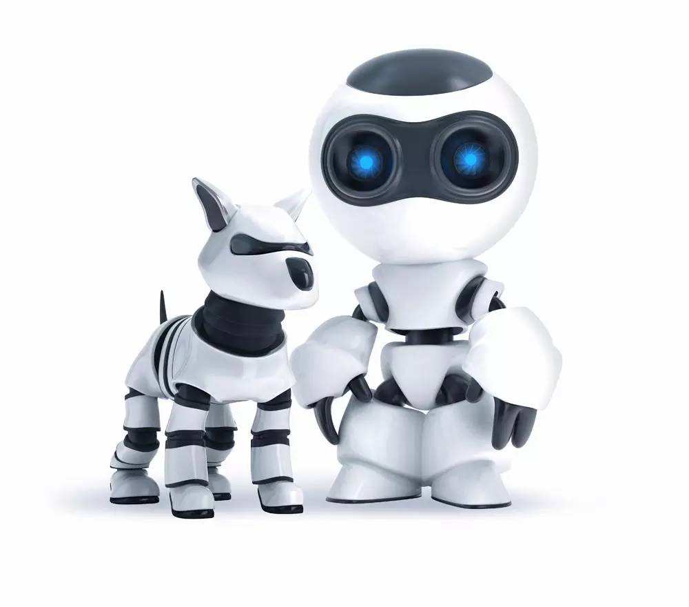 Robot Top Ten Predict: What can happen in 5 years?